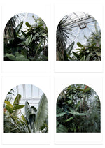 Load image into Gallery viewer, Tropical House Box Set
